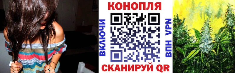 Купить где  Зима  Бошки марихуана конопля 